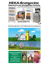 Katalog_07