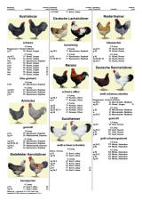 Katalog_09