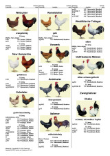 Katalog_10