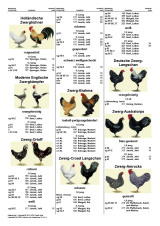 Katalog_11