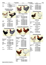 Katalog_12