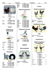 Katalog_13