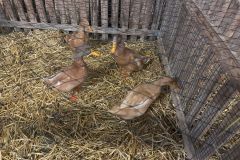 IMG-20241102-WA0003