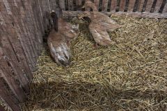 IMG-20241102-WA0004