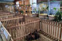 IMG-20241102-WA0009